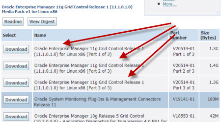 Oracle 11gr2 Enterprise Manager Install