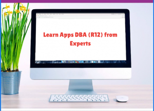 Learn Apps DBA (R12) from Experts
